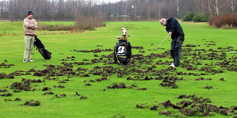 Oplocení golfového hřiště proti škodám černou zvěří