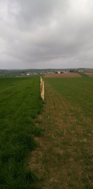 IMG 20180424 085841
