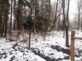 20241212 153732 resize
