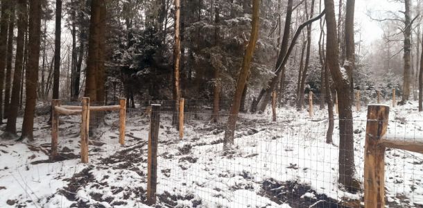 20241212 153732 resize