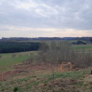 2024 ZEFALO 03 resize