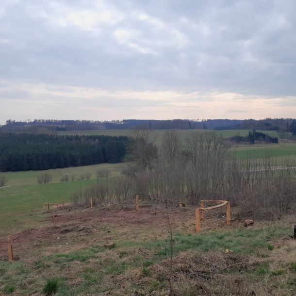 2024 ZEFALO 03 resize