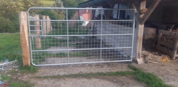 IMG 20250206 WA0078 resize