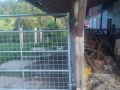 IMG 20250206 WA0080 resize