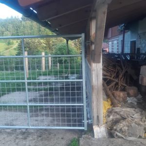 IMG 20250206 WA0080 resize