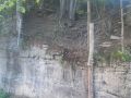 IMG 20250206 WA0086 resize