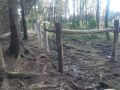 IMG 20250206 WA0100 resize