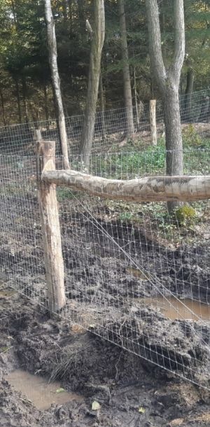 IMG 20250206 WA0117 resize