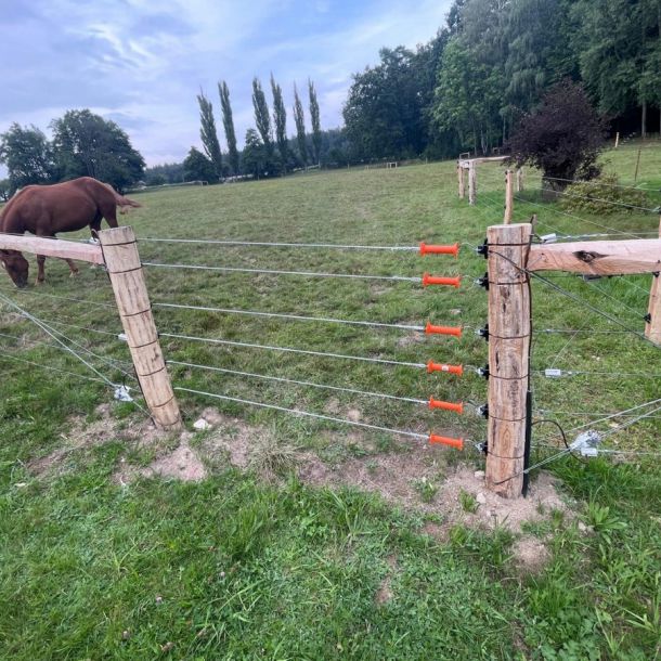 IMG 20250224 WA0286 resize