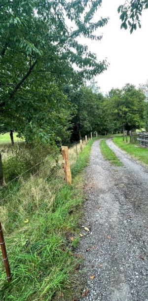 IMG 20250224 WA0321 resize