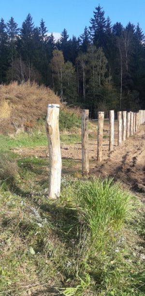 Obr  zek WhatsApp  2025 01 13 v 17.54.42 283252c3 resize