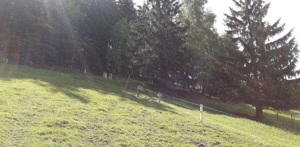 20180510 102521