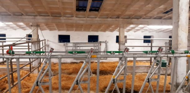 20241209 162302 resize