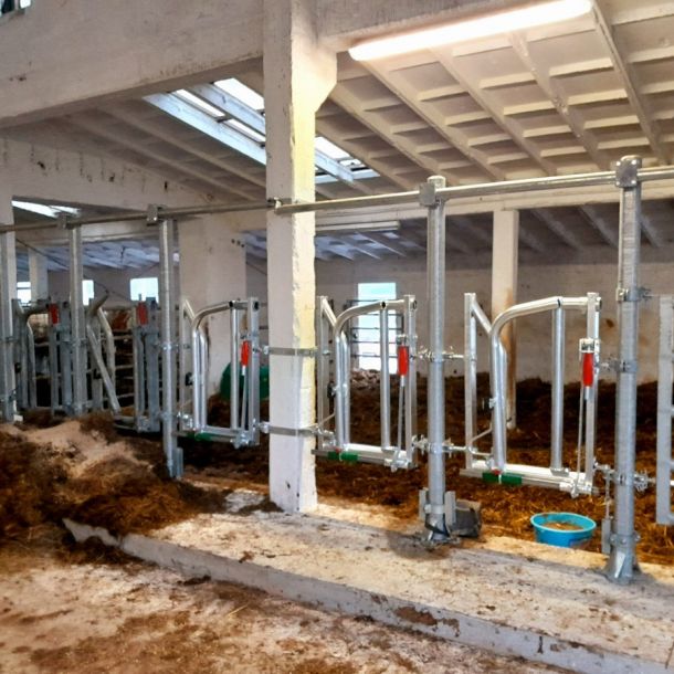 20241219 134850 resize