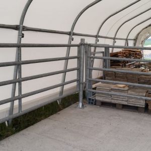 2024 Kn   01 resize