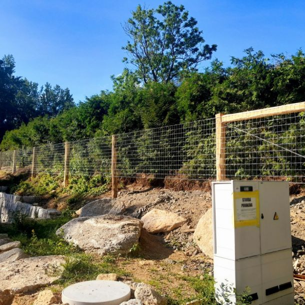 2024   NVnN 09 resize