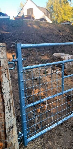 2024   NVnN 11 resize