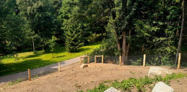 2024   NVnN 12 resize