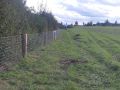IMG 20250206 WA0215 resize