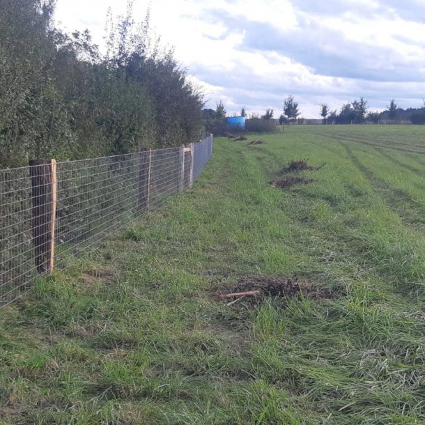 IMG 20250206 WA0215 resize