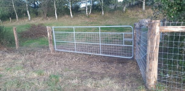 IMG 20250206 WA0217 resize