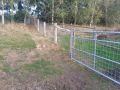 IMG 20250206 WA0222 resize