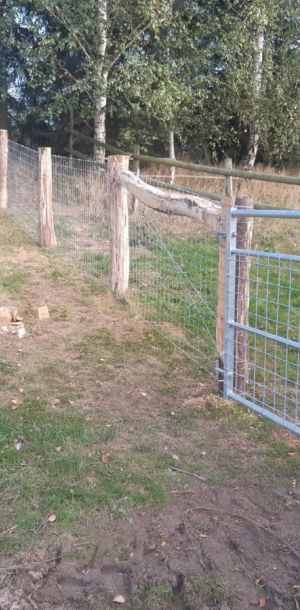 IMG 20250206 WA0222 resize