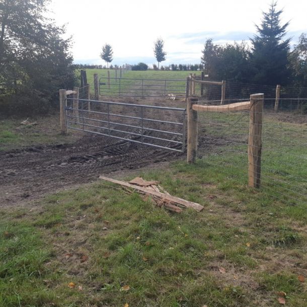 IMG 20250206 WA0225 resize