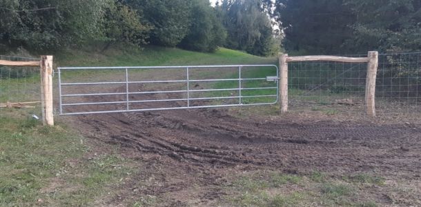 IMG 20250206 WA0228 resize