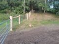 IMG 20250206 WA0233 resize