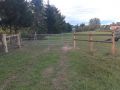 IMG 20250206 WA0234 resize