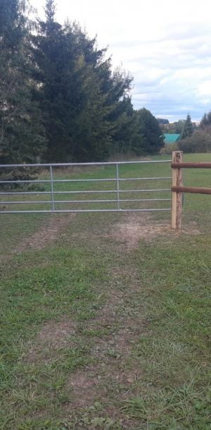 IMG 20250206 WA0234 resize