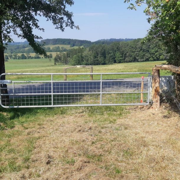 IMG 20250206 WA0263 resize