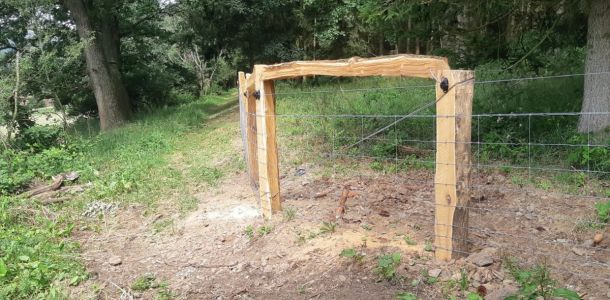 IMG 20250206 WA0297 resize