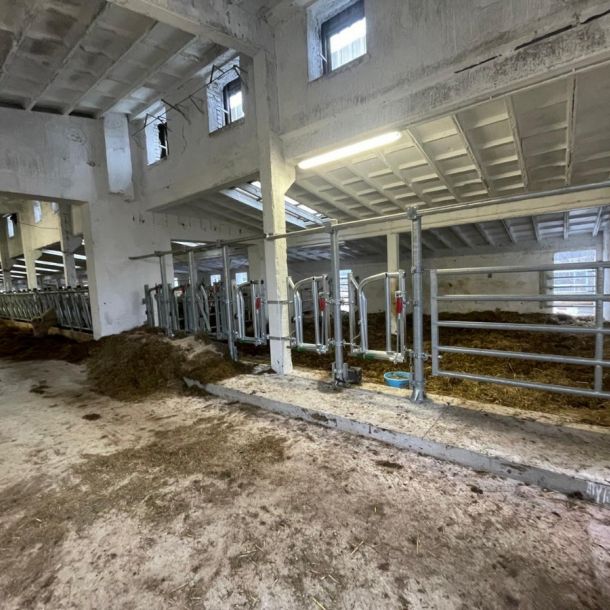 IMG 20250224 WA0072 resize