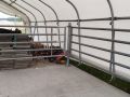2024 Kn   07 resize