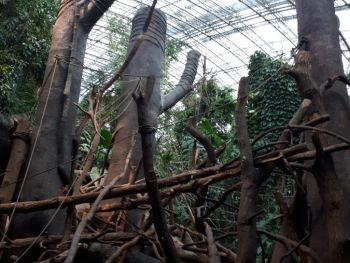 ZOO Praha - Džungle