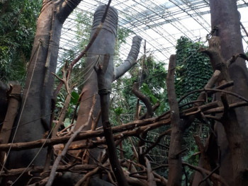 ZOO Praha - Džungle