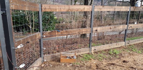 2024 ZOOKP 10 resize