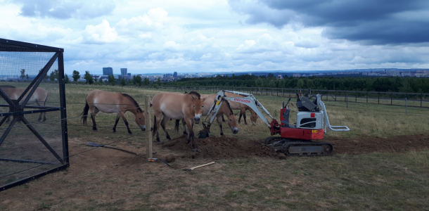 2024 ZOOKP 11 resize