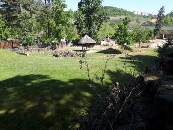 ZOO Praha - Liška