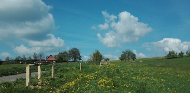 IMG 20170516 093353