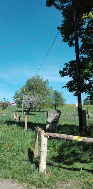 IMG 20170518 100145