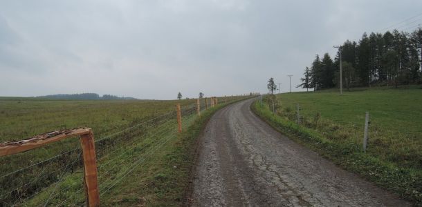 DSCN4029