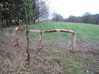 35. Onšovice u Dehtářů - pro skot