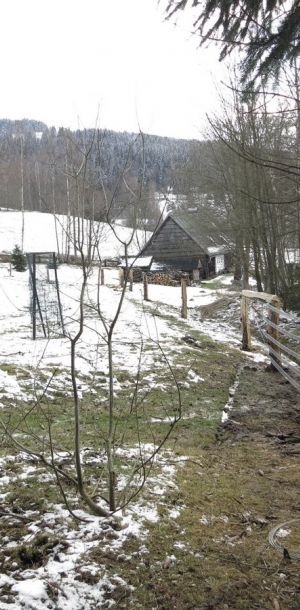 IMG 4723