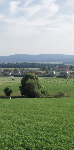 IMG 7592