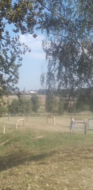 20160913 121019