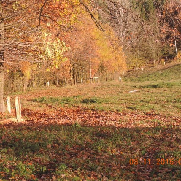 DSCN3177
