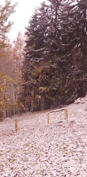 20161109 094931